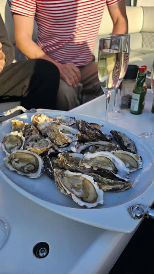 Knysna: Wine & Oyster Luxury Lounger Sunset Cruise - A gentle sunset cruise from Thesen Island