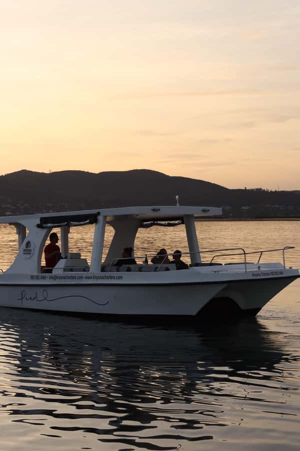 Knysna: Wine & Oyster Luxury Lounger Sunset Cruise - Who will enjoy this cruise most?