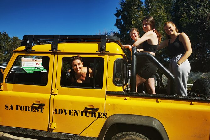 Knysna Ziplines Tour - What to bring and how to prepare