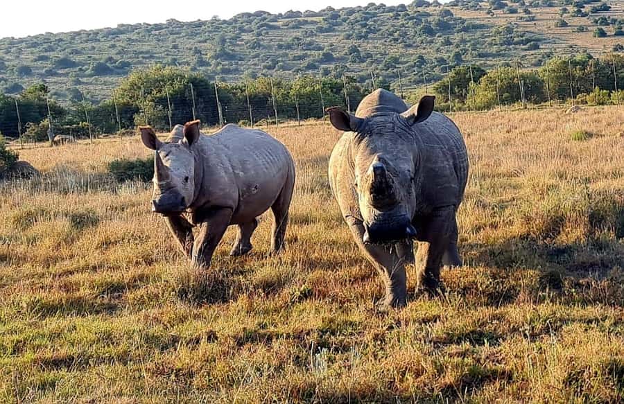Kragga Kamma Game Park - Booking, cancellation, and practical planning