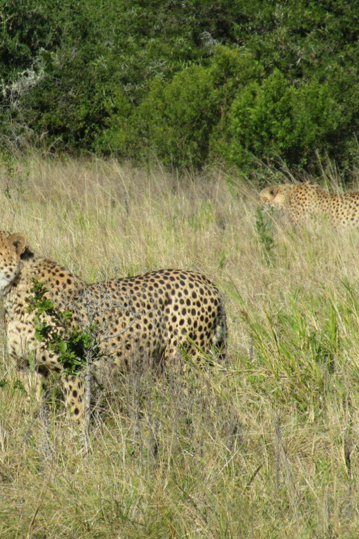 Kragga Kamma Game Park - Who will enjoy this park most?