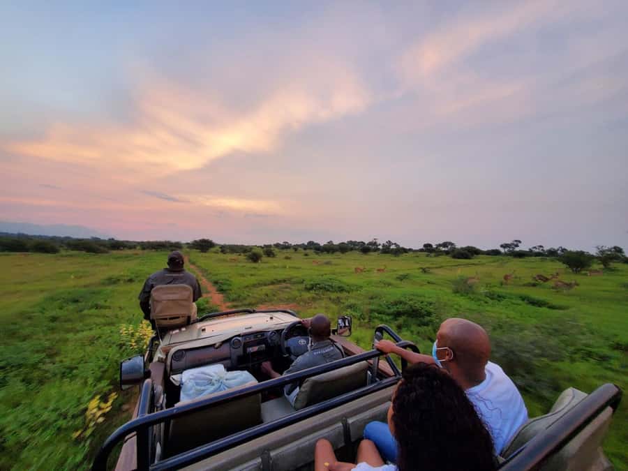 Kruger National Park: 3 Day Safari Tour - Why the three-day format works