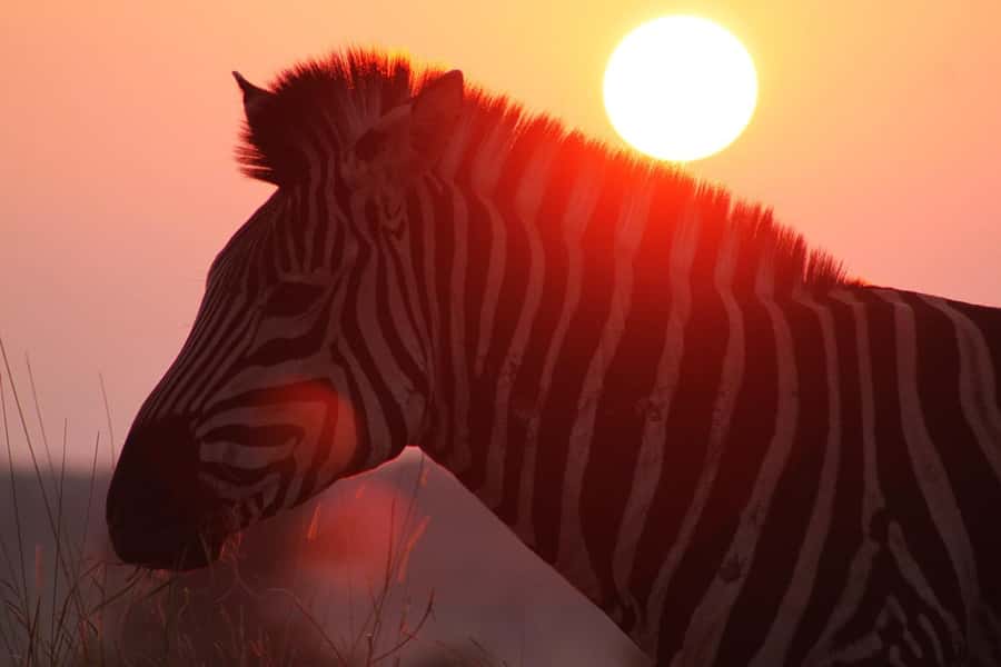 Kruger National Park: 3 Day Safari Tour - Day 3: Blyde River Canyon before the return trip