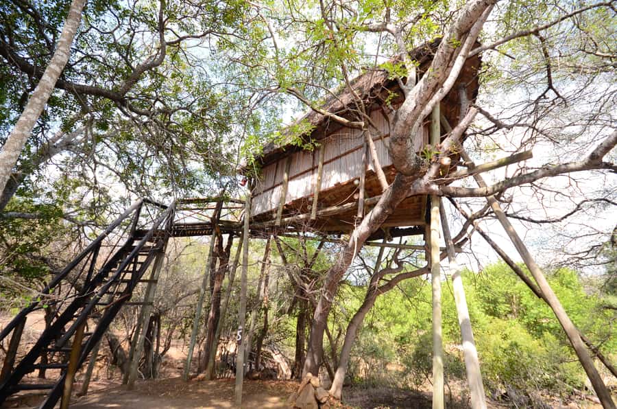Kruger National Park: 3-Day Safari Tour and Treehouse Stay - Should you book it?