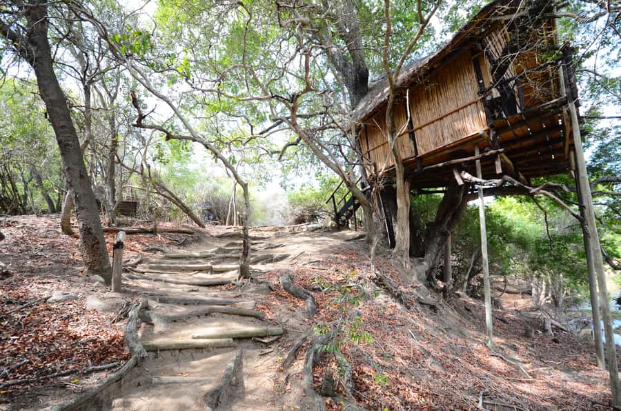 Kruger National Park: 3-Day Safari Tour and Treehouse Stay - From Johannesburg to the Lowveld