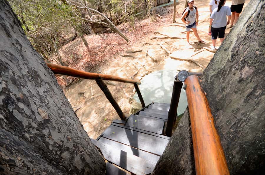 Kruger National Park: 3-Day Safari Tour and Treehouse Stay - The treehouse question