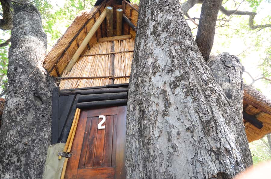 Kruger National Park: 3-Day Safari Tour and Treehouse Stay - Day 3: Walking at sunrise