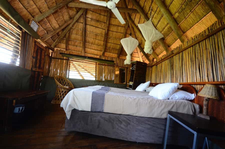 Kruger National Park: 3-Day Safari Tour and Treehouse Stay - Who will enjoy this safari most
