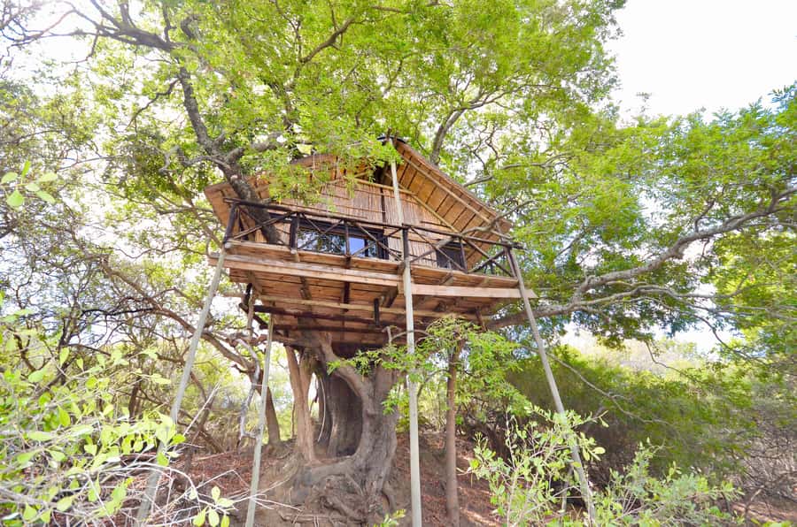 Kruger National Park: 3-Day Safari Tour and Treehouse Stay - Day 1: Balule after sunset