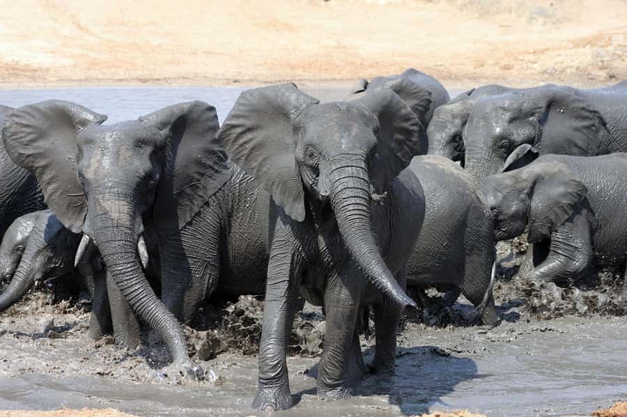 Kruger National Park: 3 Day Safari Tour - Day 1: The long road from Johannesburg to Hoedspruit