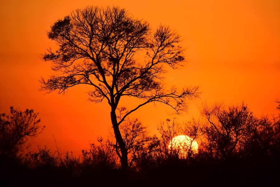 Kruger National Park 3 Days Best Ever Safari from Cape Town - Guides, communication, and the human side