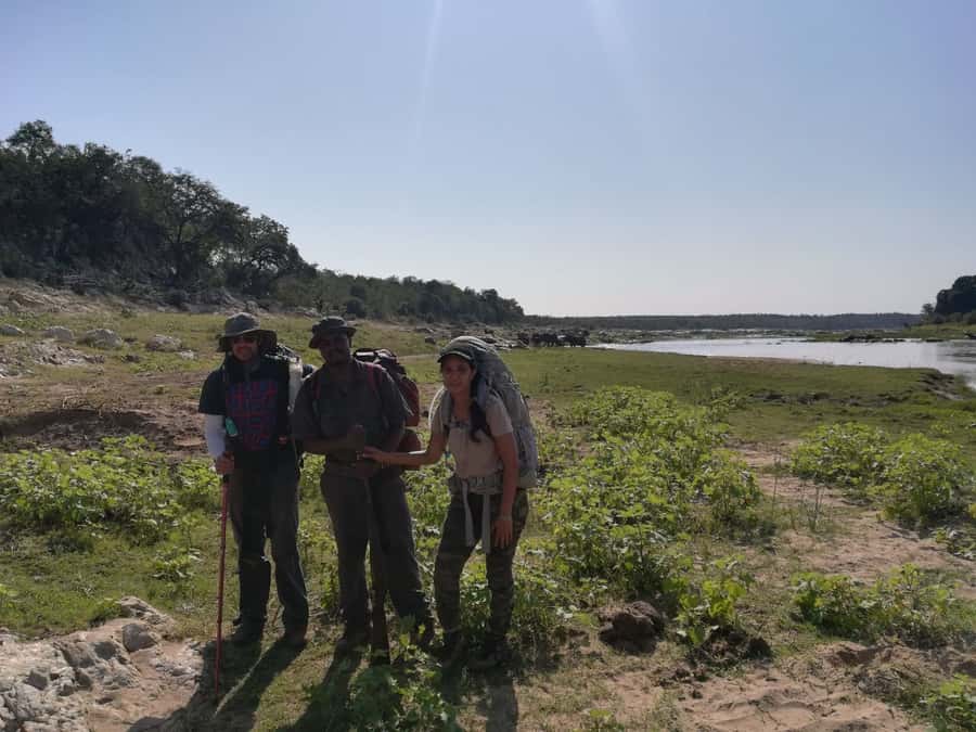 Kruger National Park: 3-Hour Walking Safari - Key points to know before you book