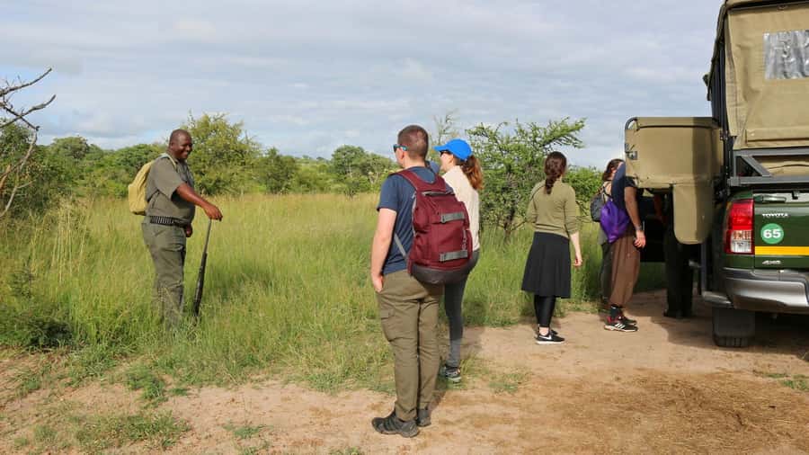 Kruger National Park: 3-Hour Walking Safari - Three hours of tracks, plants, and bush skills