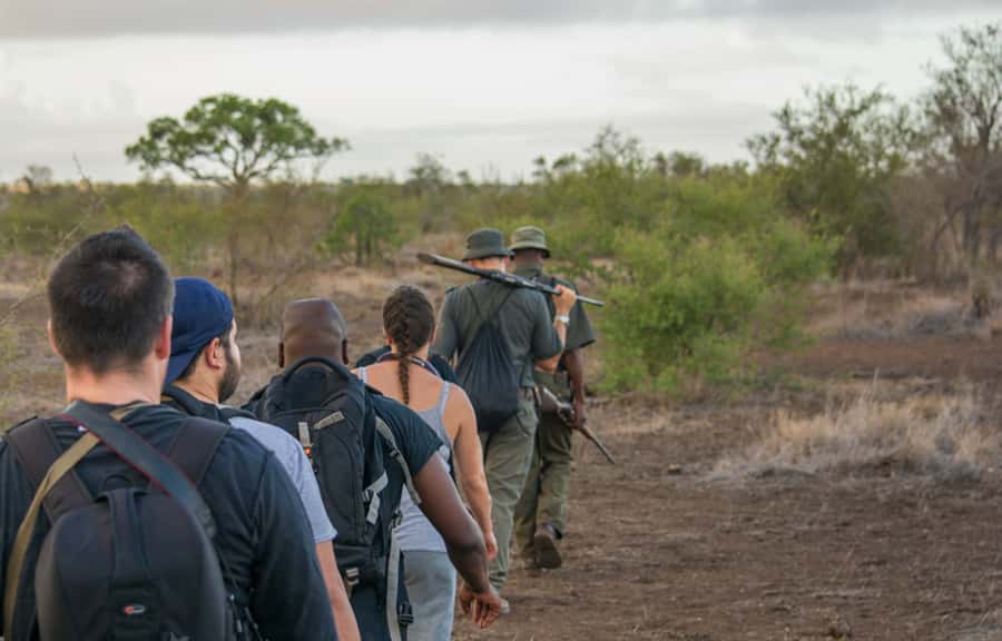 Kruger National Park: 3-Hour Walking Safari - Fitness, footwear, and what to carry