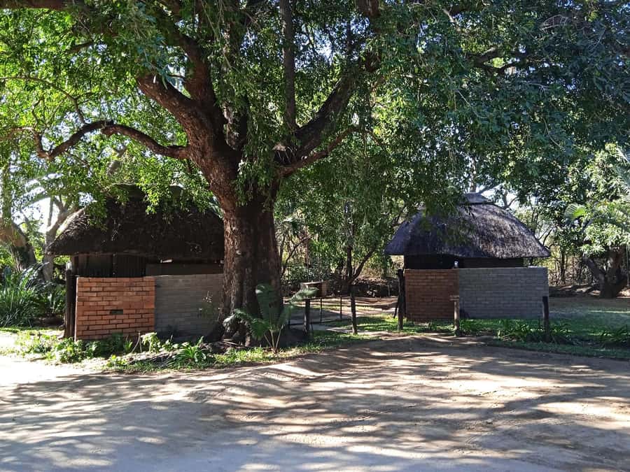 Kruger National Park - 4 Day Safari Tour - Day 2: Moholoholo and Blyde River Canyon