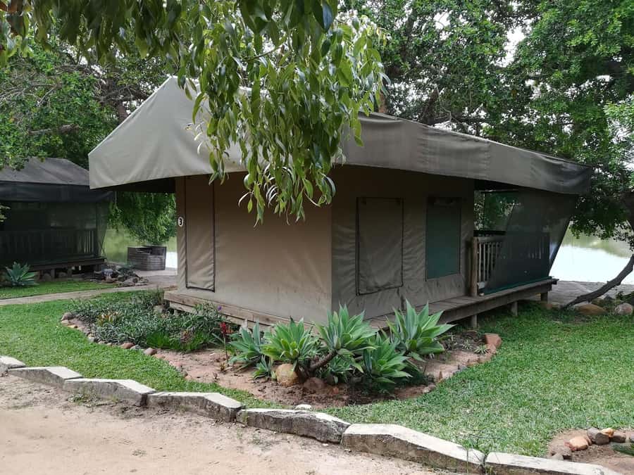 Kruger National Park - 4 Day Safari Tour - Day 3: The full Kruger National Park safari