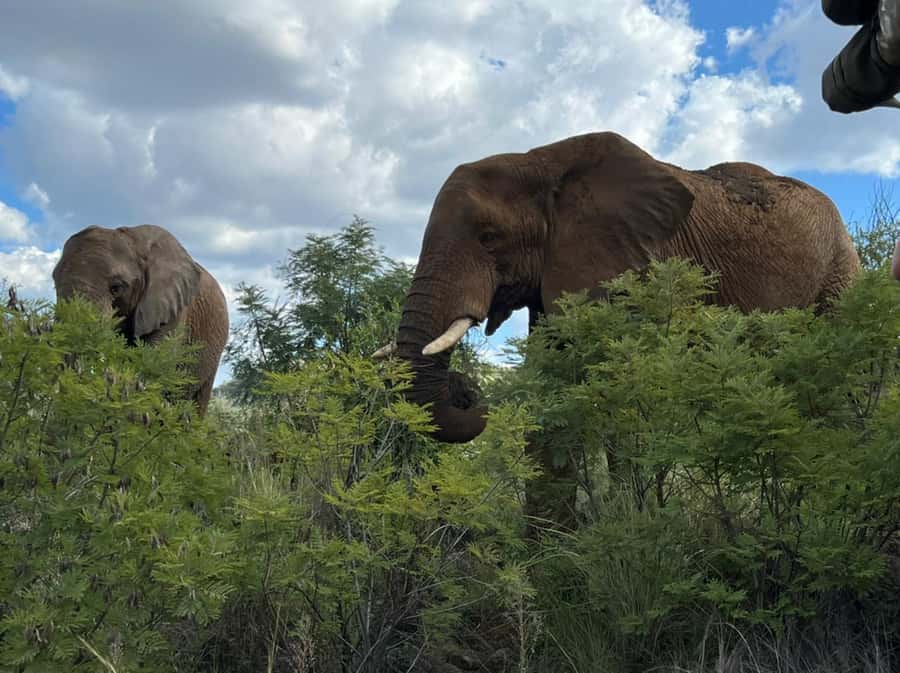 Kruger National Park: 4-Day Ultimate Safari Tour - Your first night inside Kruger