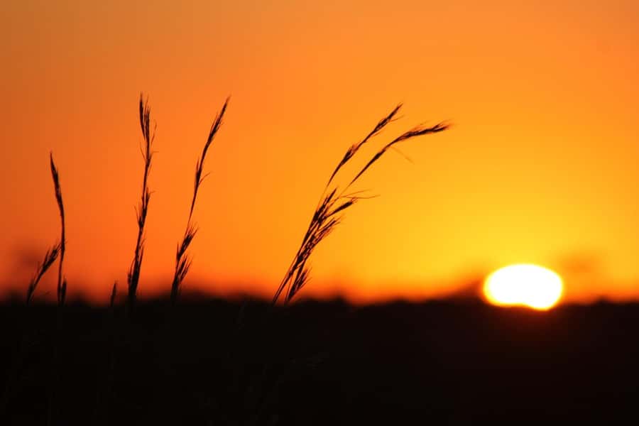 Kruger National Park - 5 Day Safari Tour - What this five-day safari actually gives you