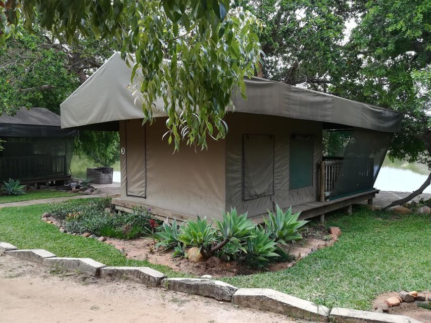 Kruger National Park - 5 Day Safari Tour - Day 3: Conservation, canyon views, and a slower afternoon