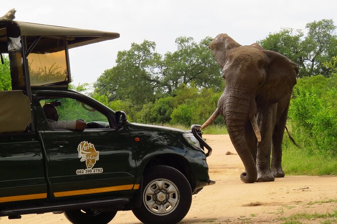Kruger National Park Afternoon Private safari - What a private vehicle changes