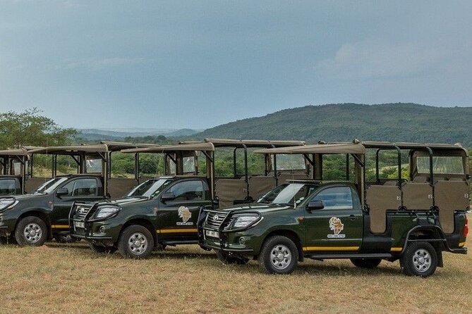 Kruger National Park Afternoon Private safari - Wildlife sightings and the guide factor