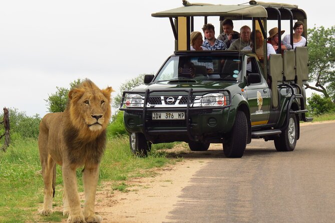 Kruger National Park Afternoon Private safari - Price, entry fees, and what the rate really covers
