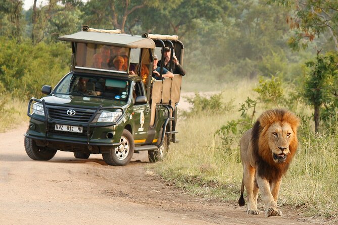 Kruger National Park Afternoon Private safari - Inside Kruger National Park