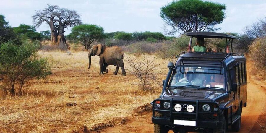 Kruger National Park & Blyde River Canyon 4 Day Safari - Key points to know before booking