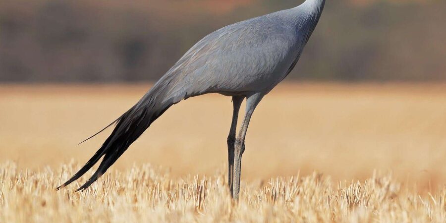 Kruger National Park & Blyde River Canyon 4 Day Safari - Is $1,435 per person a fair price?