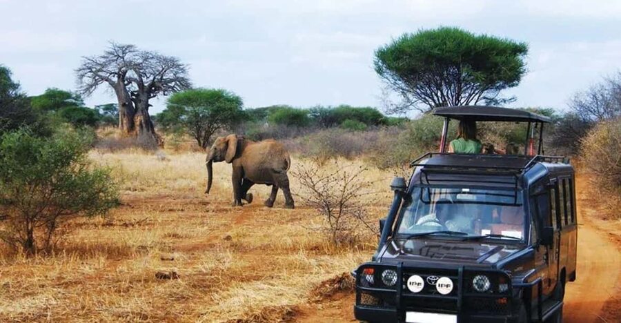 Kruger National Park & Blyde River Canyon 4 Day Safari - Why combine Kruger with Blyde River Canyon?