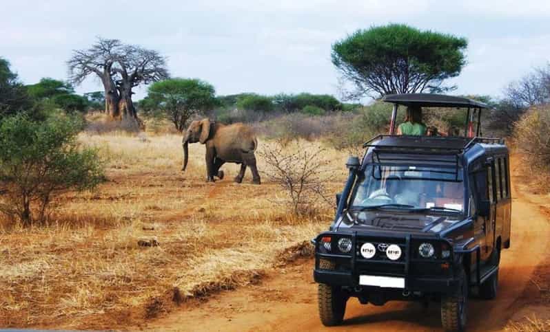 Kruger National Park & Blyde River Canyon 4 Day Safari - Day two: a full-day Kruger drive