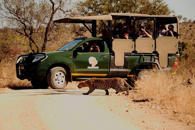 Kruger National Park Full Day Private safari - Searching for the Big Five
