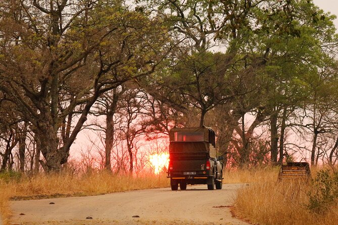 Kruger National Park Full Day Private safari - Taking time for photos and smaller wildlife