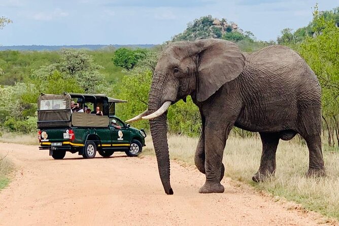 Kruger National Park Full Day Private safari - Breakfast at one rest camp, lunch at another