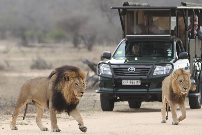 Kruger National Park Full Day Private safari - Who should book this safari