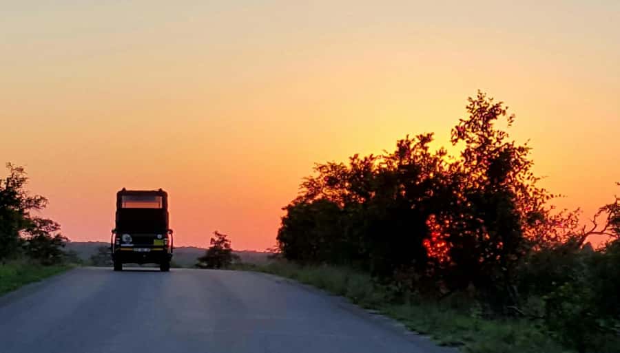 Kruger National Park: Full-Day Private Safari With Pickup - Why the early start matters in Kruger
