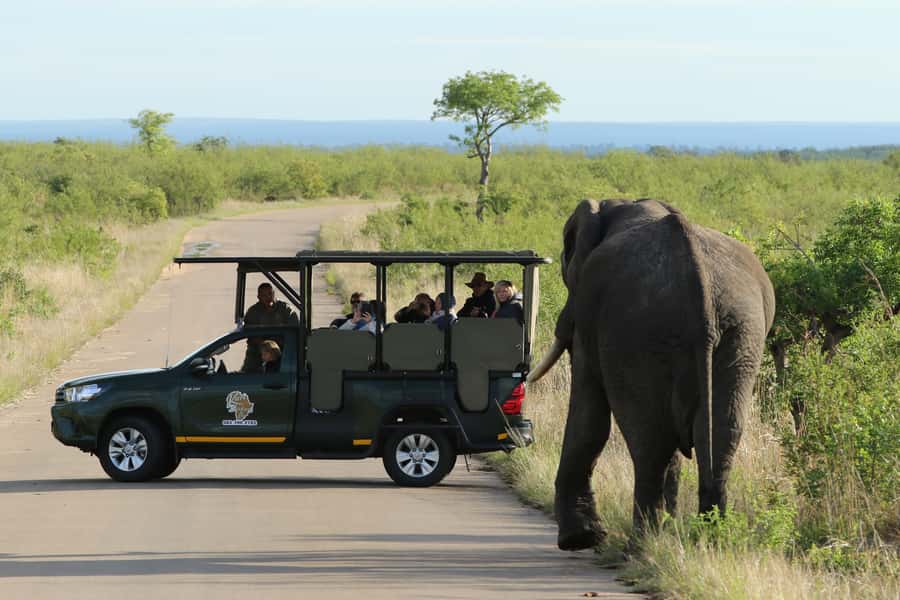 Kruger National Park: Full-Day Private Safari With Pickup - The open safari vehicle changes the view