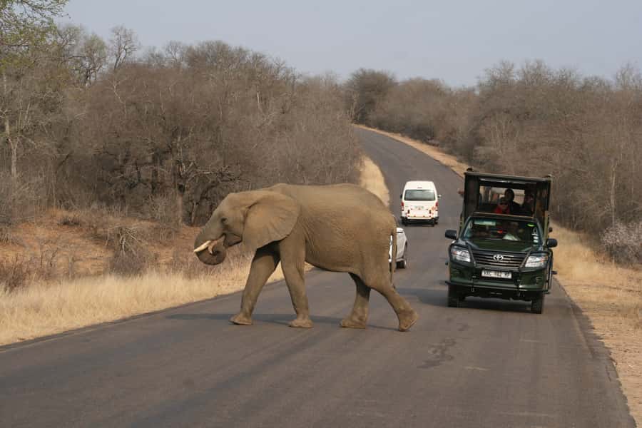 Kruger National Park Full-Day Safari - Entering Kruger National Park at first light