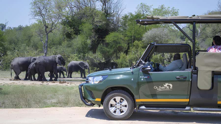 Kruger National Park Game Drive (Half-Day PM) - Key points to know before booking