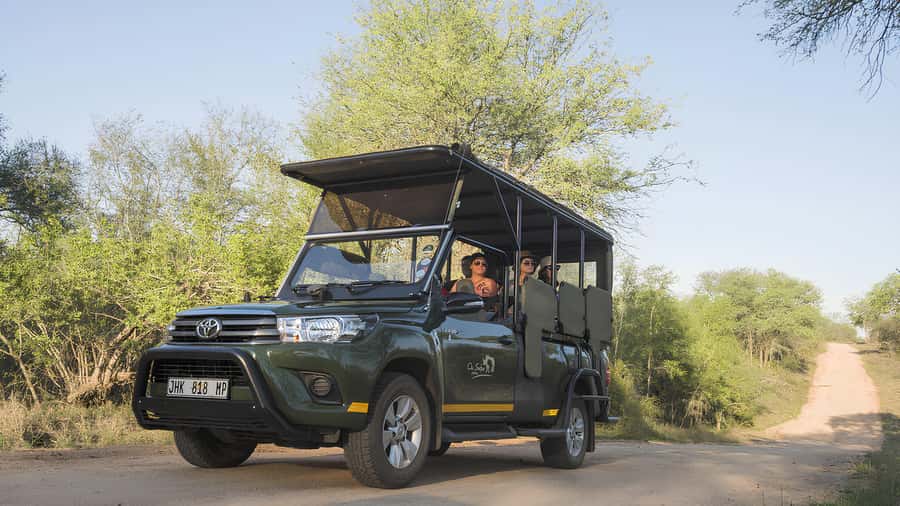 Kruger National Park Game Drive (Half-Day PM) - Searching for the Big Five and the smaller wonders