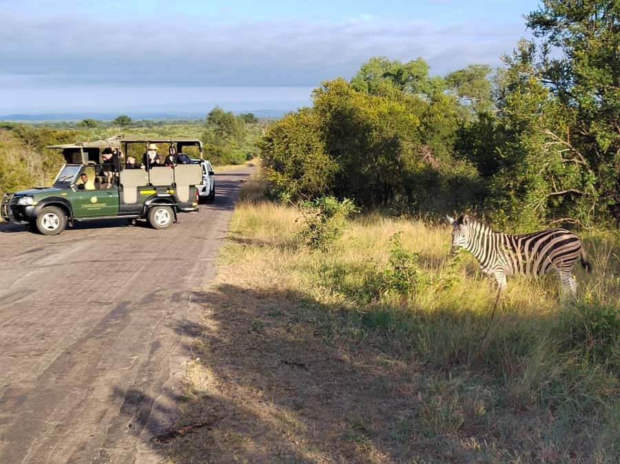 Kruger National Park half day - Early pickup from Hazyview and the short ride to Kruger