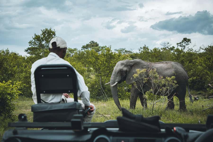 Kruger National Park half day - Breakfast and lunch breaks inside the park