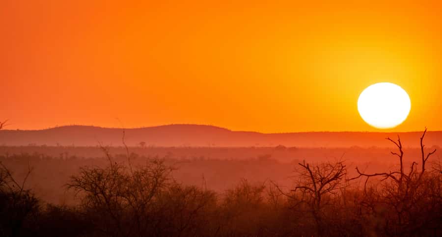 Kruger National Park half day - Pickup reliability deserves careful attention