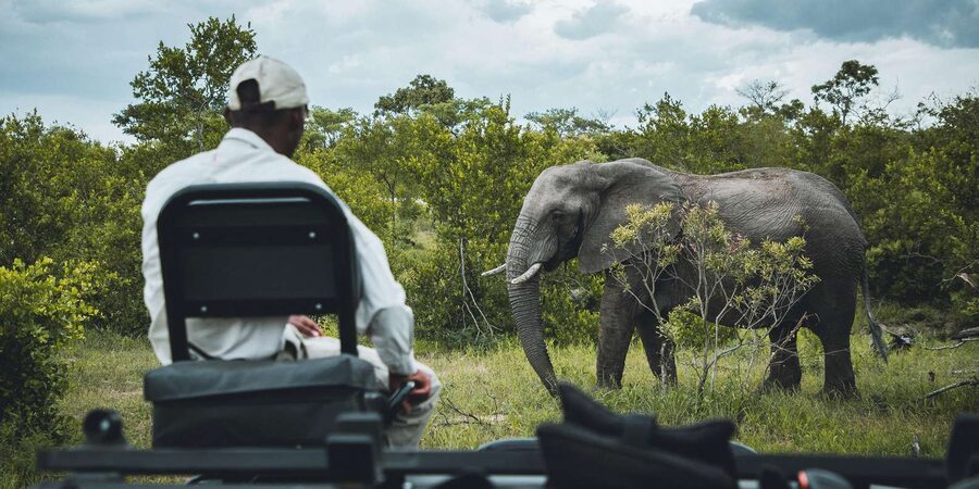 Kruger National Park half day - Who will enjoy this Kruger outing