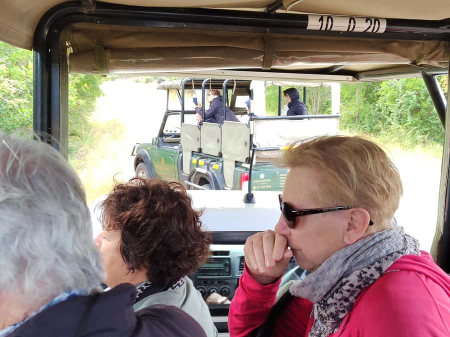 Kruger National Park half day - Phabeni Gate after sunrise