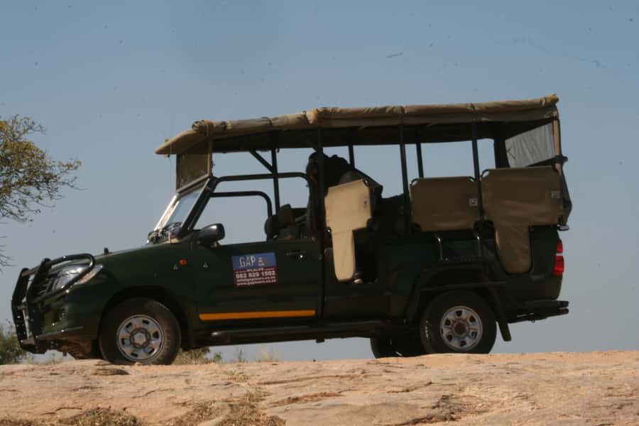Kruger National Park Morning Safari - Who should book this morning safari?
