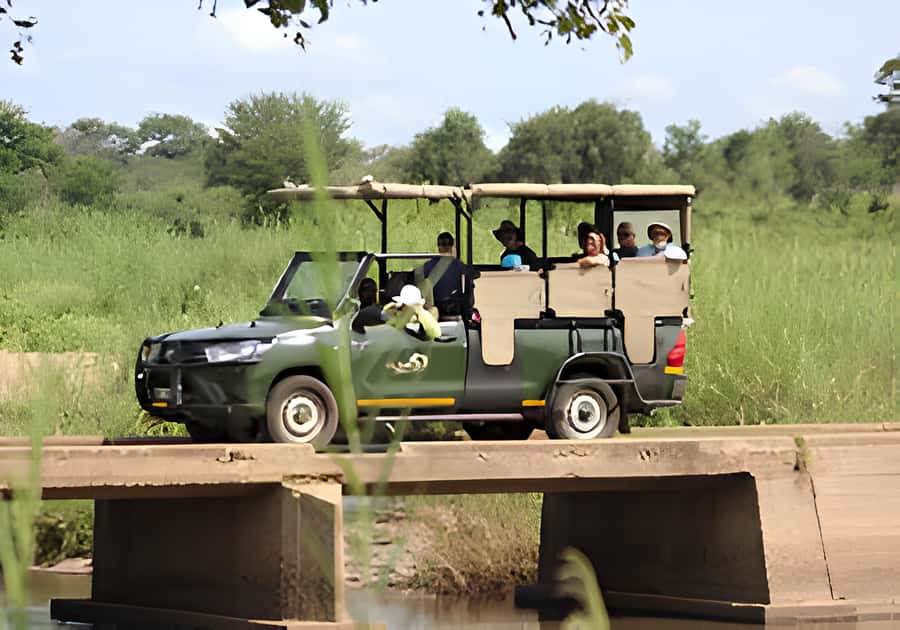 Kruger National Park Safari (Full Day) - A full day in Kruger, not a quick wildlife outing