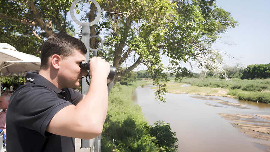 Kruger National Park Safari (Full Day) - Is $126 good value?