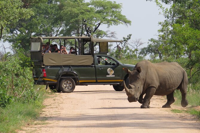 Kruger National Park sunrise Morning Private safari - Key points before you book