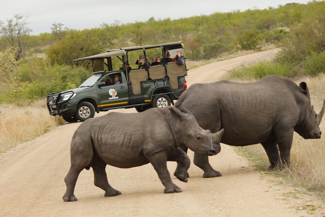Kruger National Park sunrise Morning Private safari - What the private vehicle changes